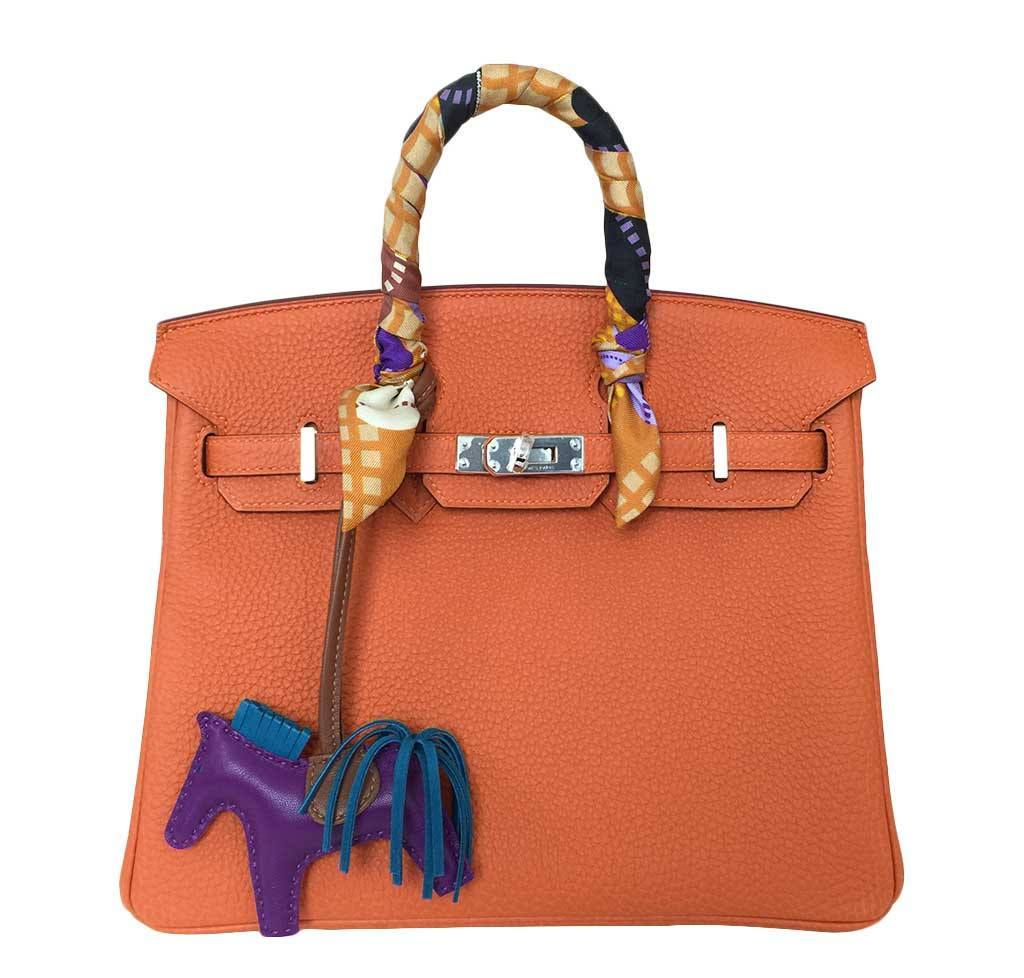 HermesBirkin 25 Feu Clemence Bag