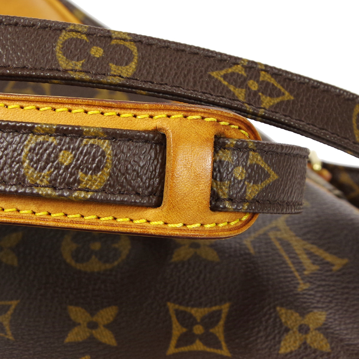 Louis Vuitton AMAZON SHOULDER Bag MONOGRAM