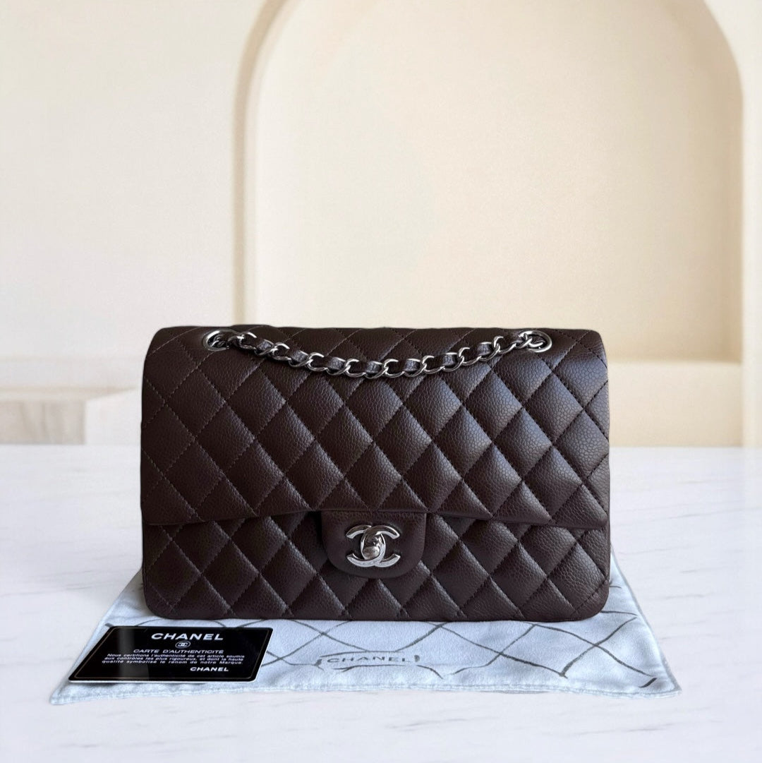 Chanel Classic Flap Medium Shoulder Bag - EworeBags