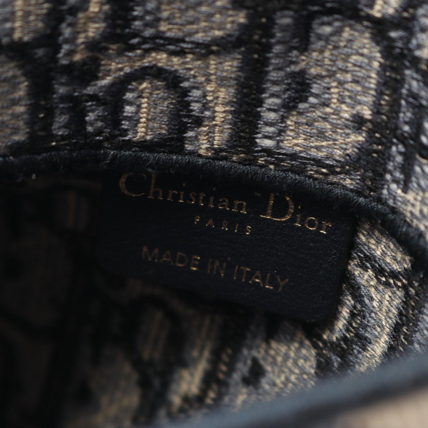 Dior Saddle Bag Canvas Waist Bag