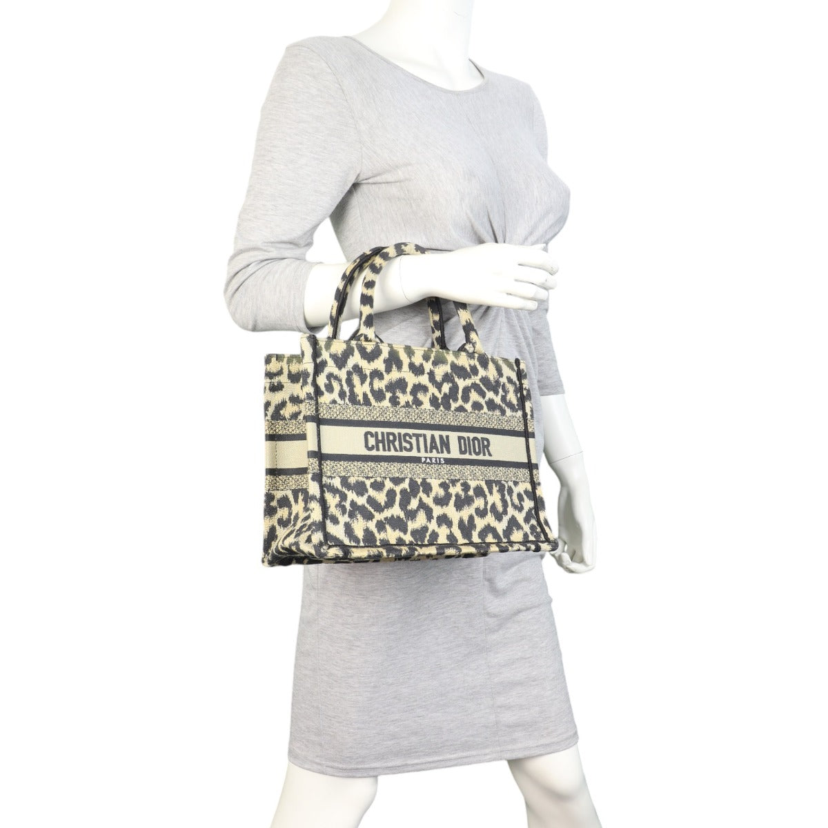 Dior Book Tote Small