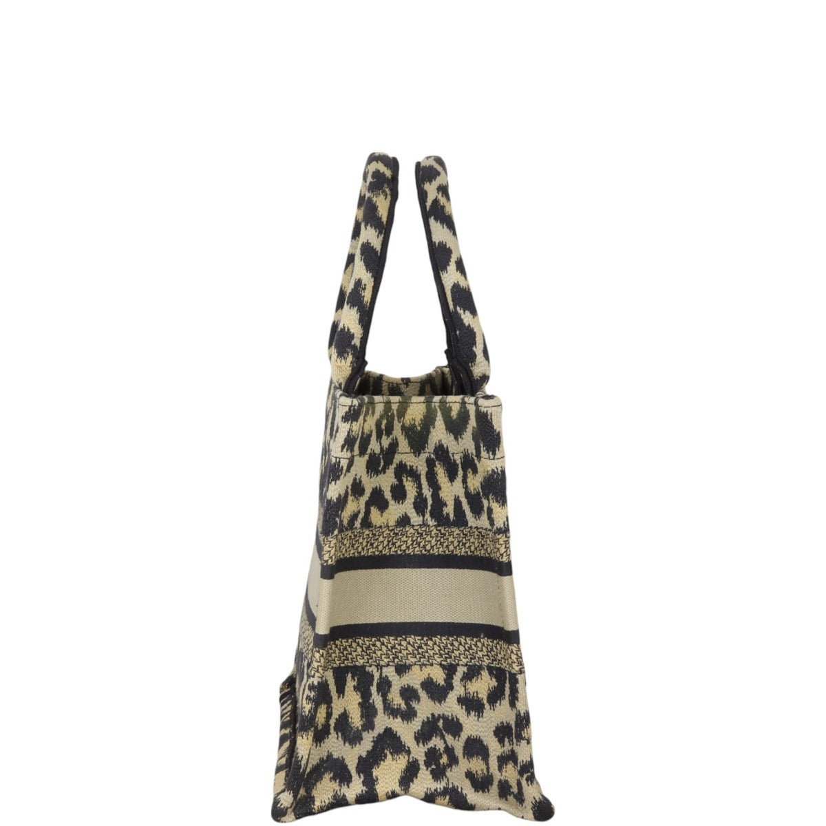 Dior Book Tote Small