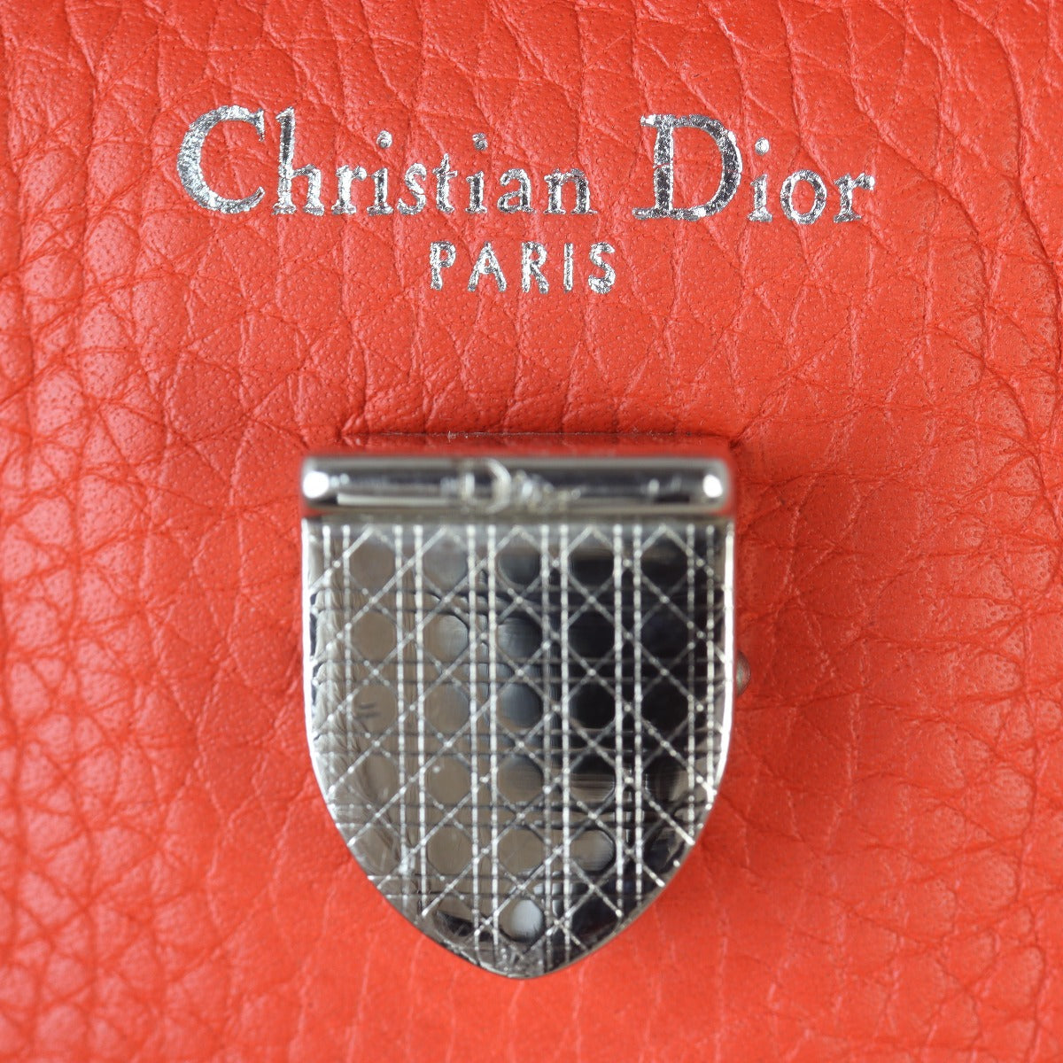 Dior Diorever Mini Satchel