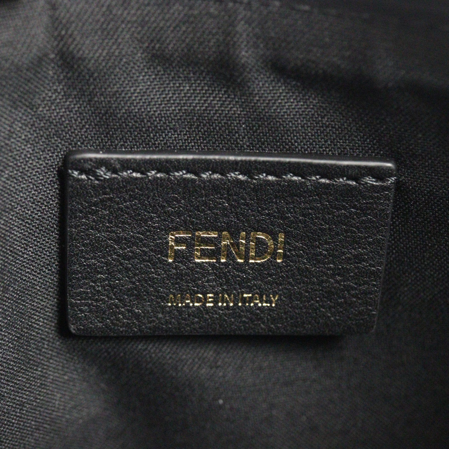 Fendi Fendigraphy Small