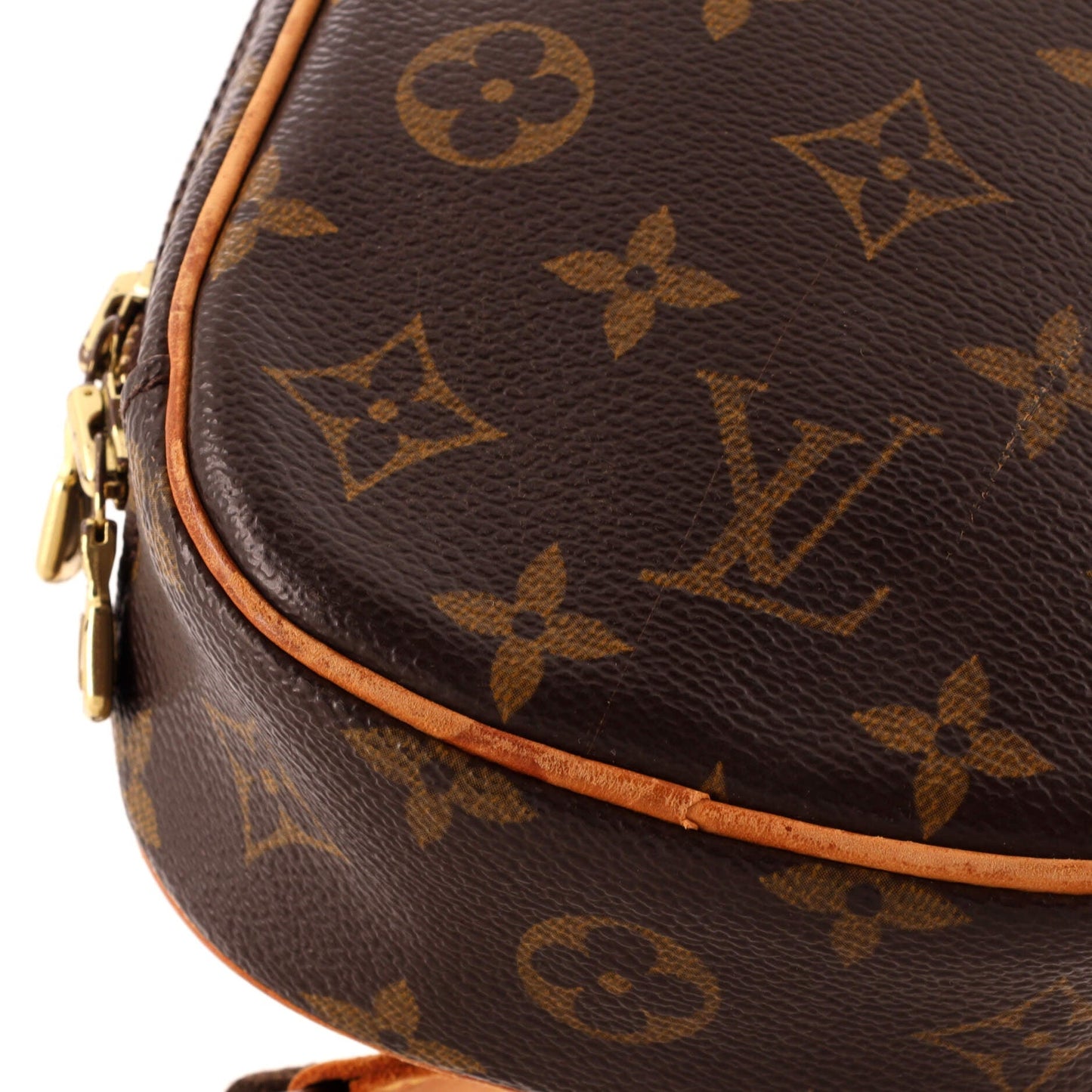 Louis Vuitton Pochette Gange Monogram Canvas