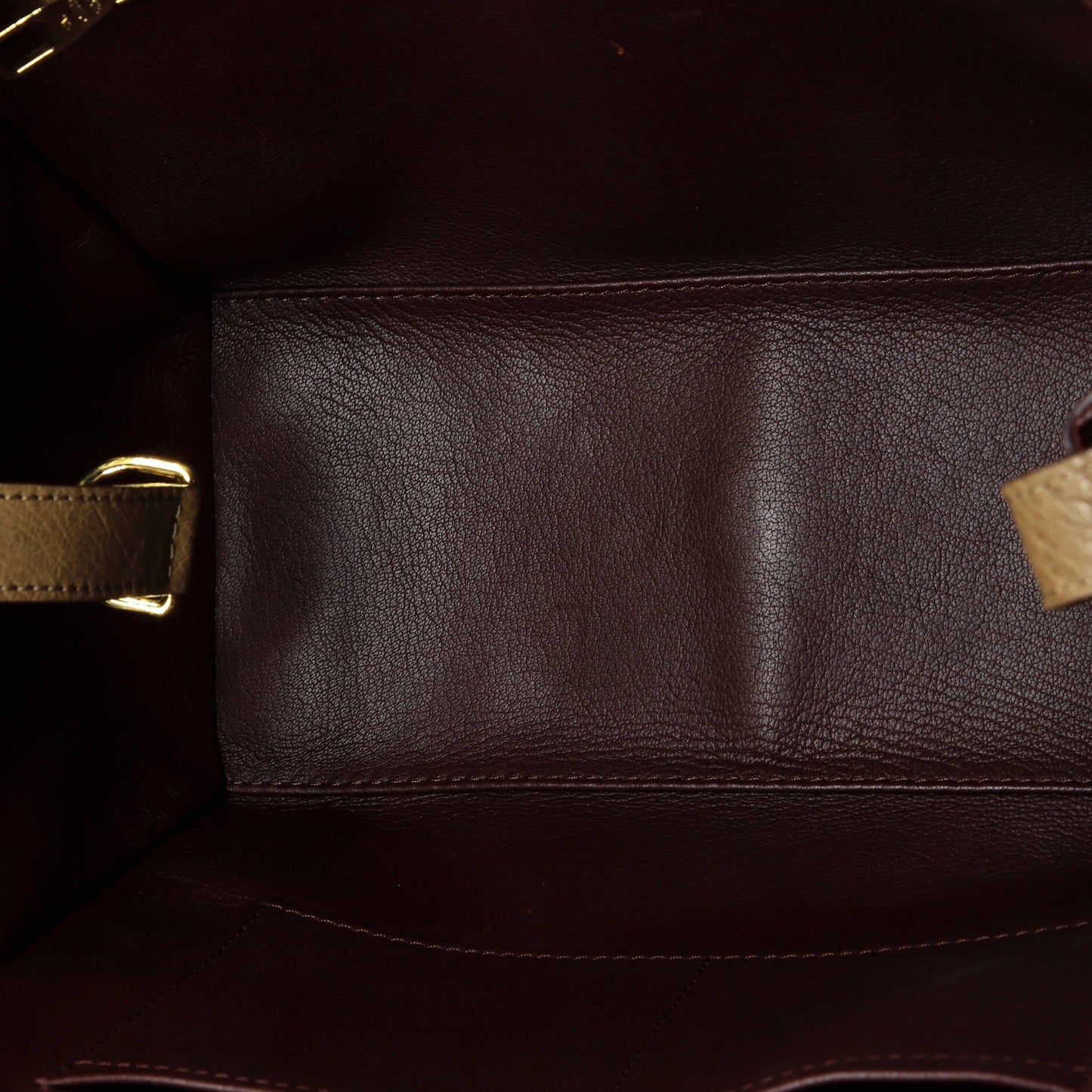 Louis Vuitton Majestueux Tote Monogram Canvas and Exotics PM