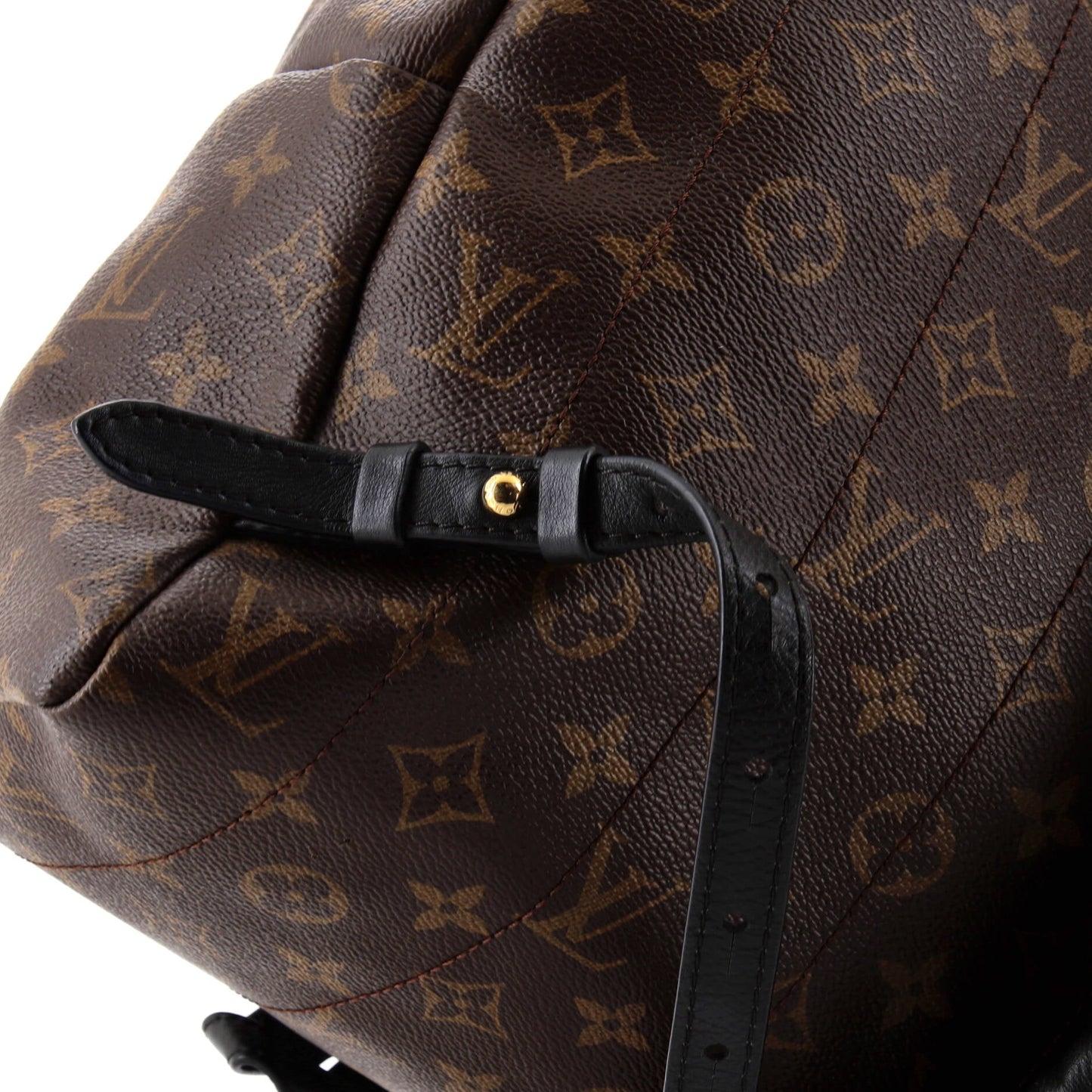 Louis Vuitton Palm Springs Backpack Monogram Canvas MM