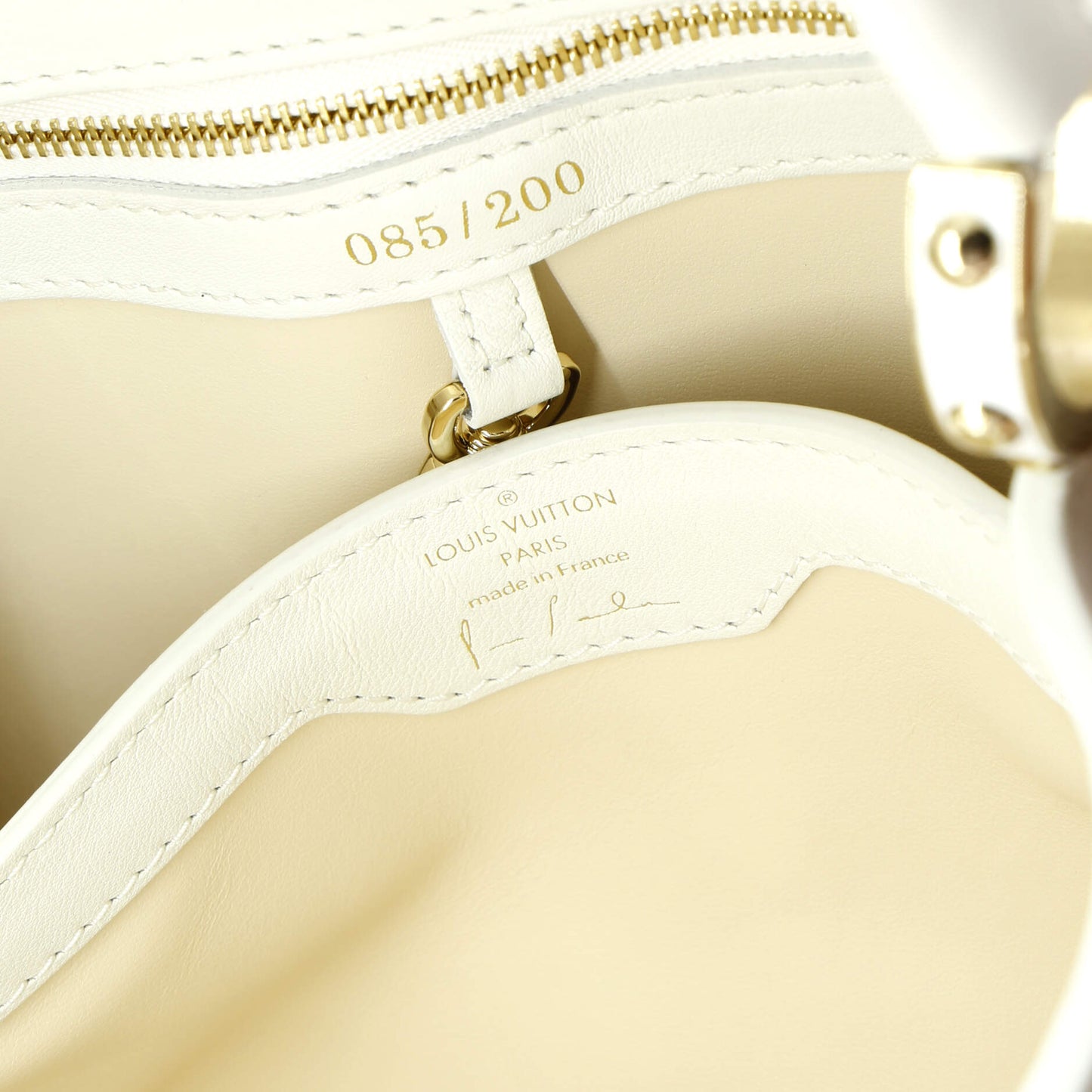Louis Vuitton Paola Pivi ArtyCapucines Bag Printed Leather MM