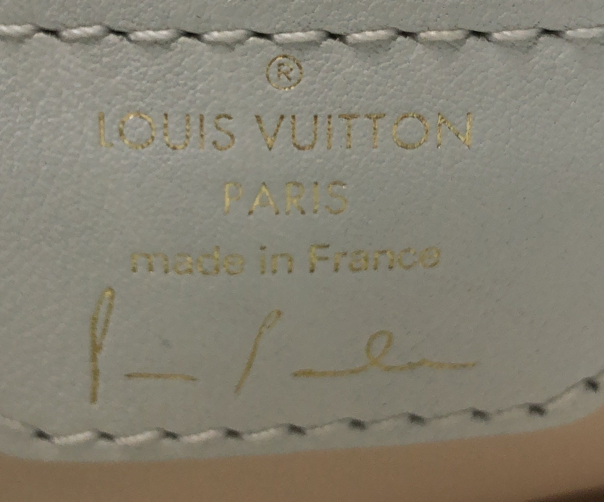 Louis Vuitton Paola Pivi ArtyCapucines Bag Printed Leather MM