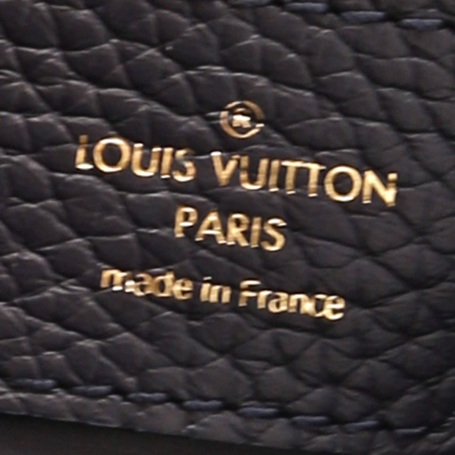 Louis Vuitton Capucines Bag Woven Raffia, Cotton Ribbon, and Silvery Threads MM