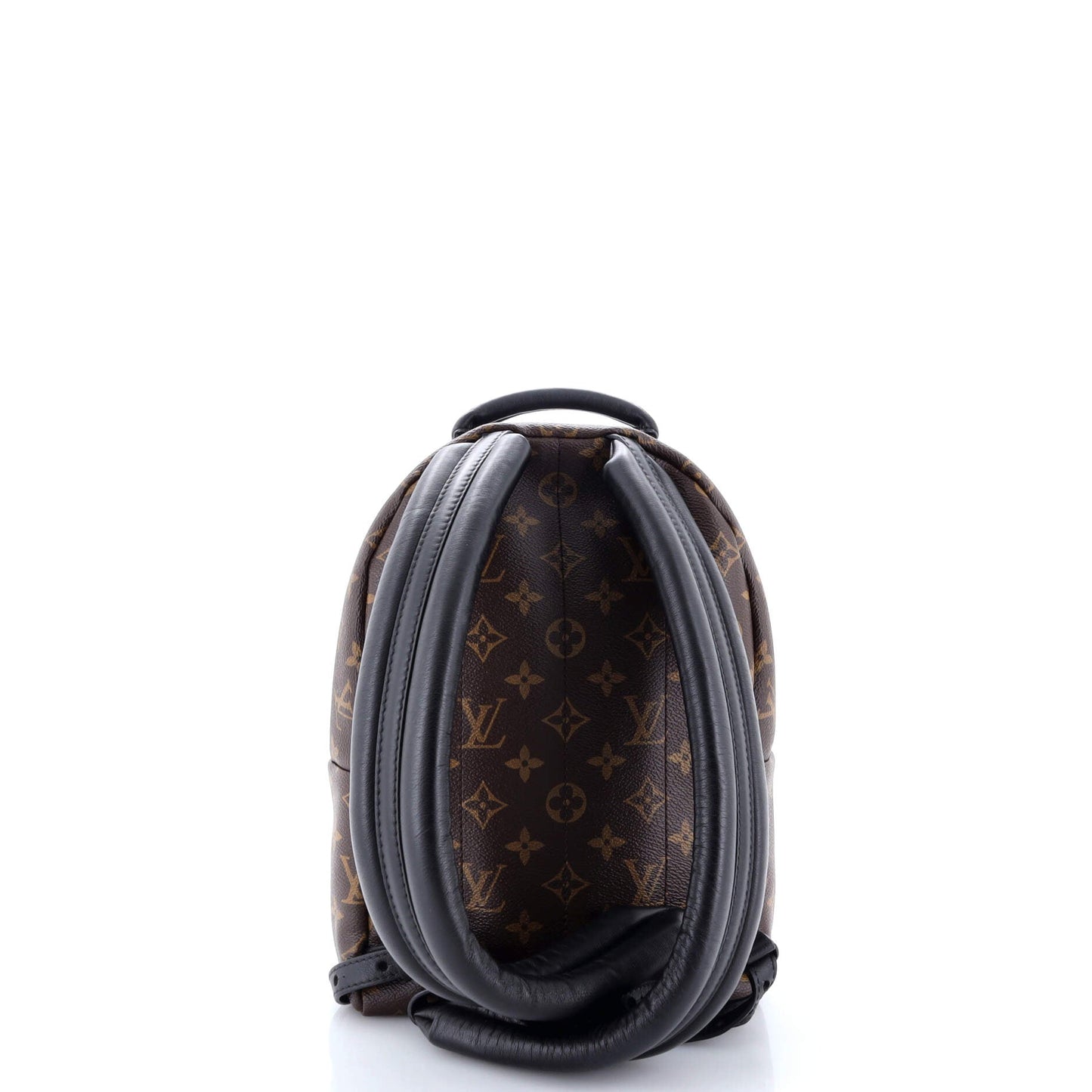 Louis Vuitton Palm Springs Backpack Reverse Monogram Canvas PM