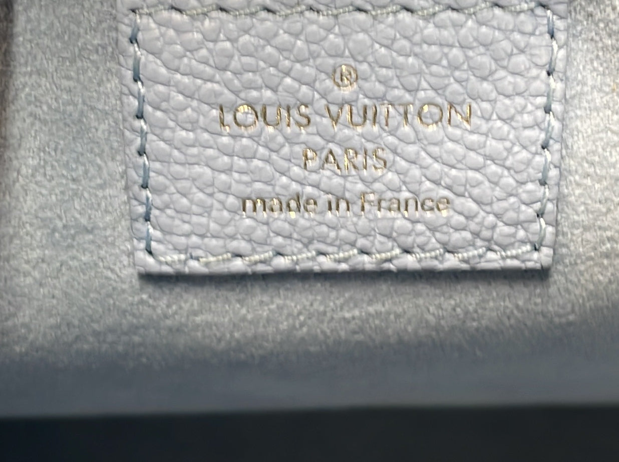 Louis Vuitton NeoNoe Handbag By The Pool Monogram Empreinte Giant BB