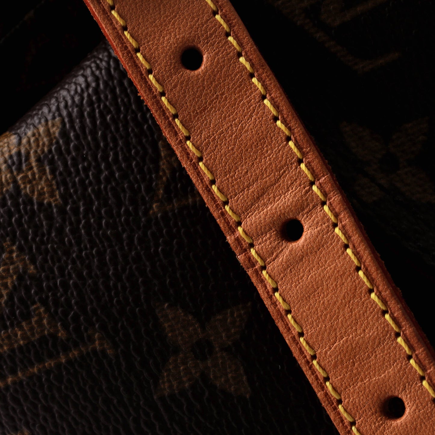 Louis Vuitton Viva Cite Handbag Monogram Canvas PM