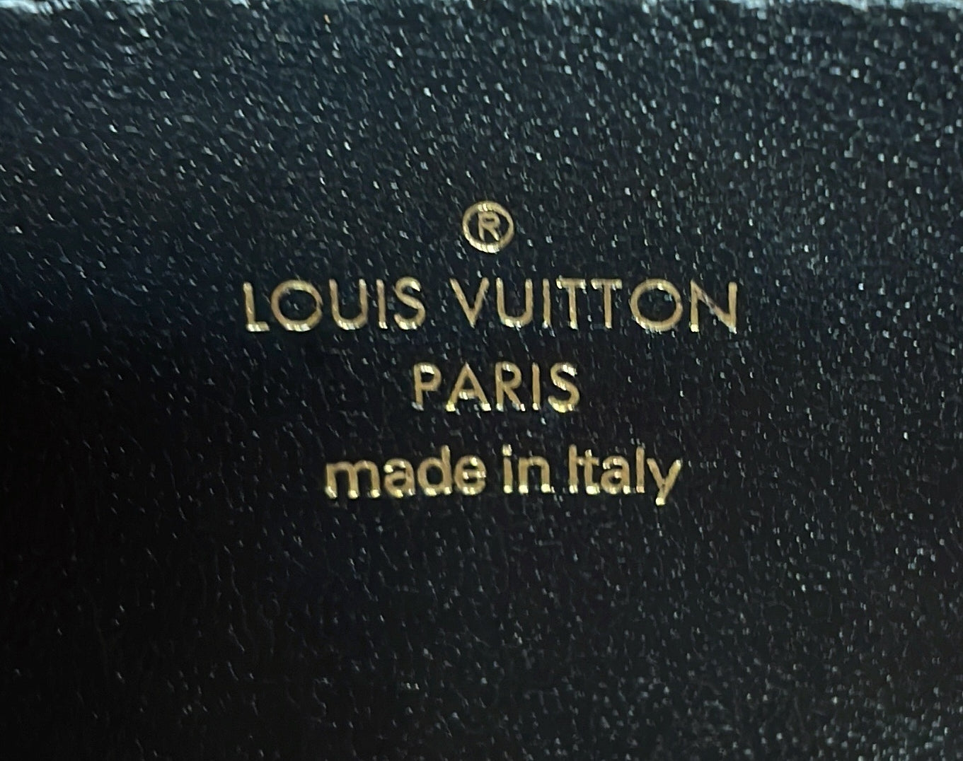 Louis Vuitton Coussin Pochette Monogram Embossed Lambskin