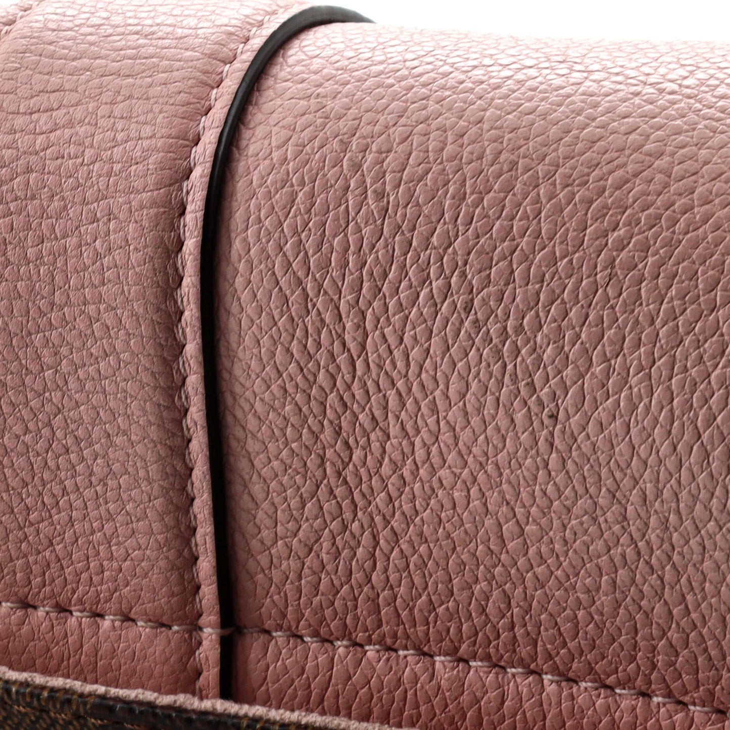 Louis Vuitton Clapton Handbag Damier and Leather PM