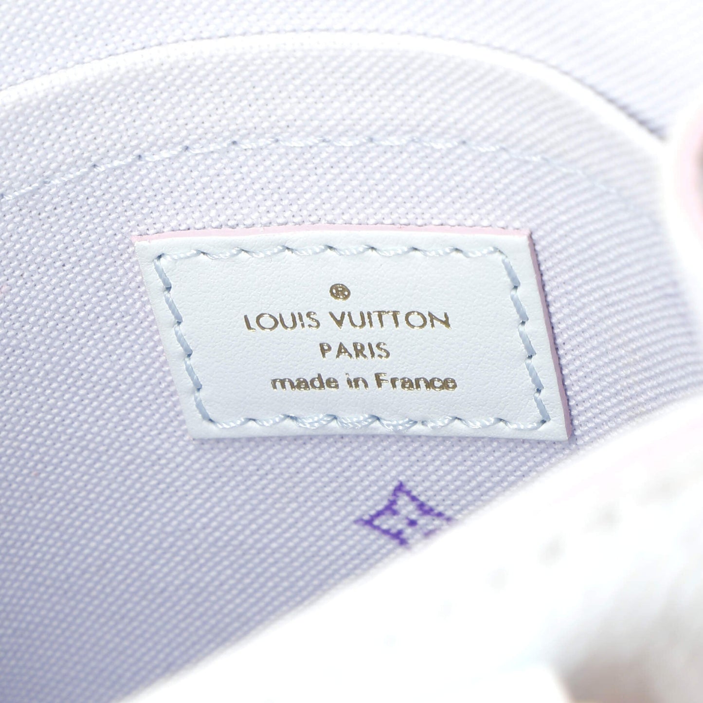 Louis Vuitton Petit Sac Plat Bag Spring in the City Monogram Giant Canvas
