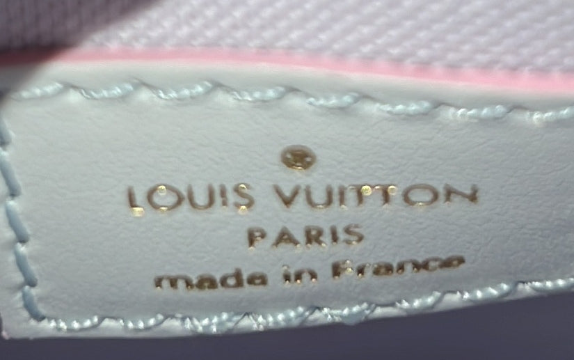 Louis Vuitton Petit Sac Plat Bag Spring in the City Monogram Giant Canvas