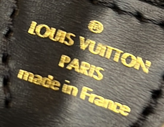 Louis Vuitton Pochette Accessoires Monogram Giant Embroidered Cotton Mini