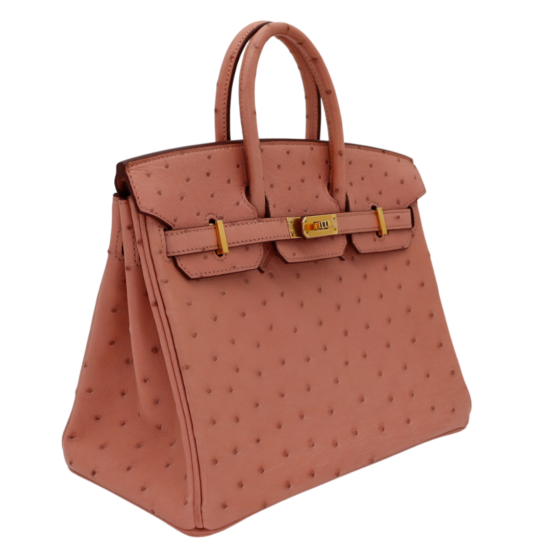 Hermes25cm Birkin Terre Cuite Ostrich Gold Hardware