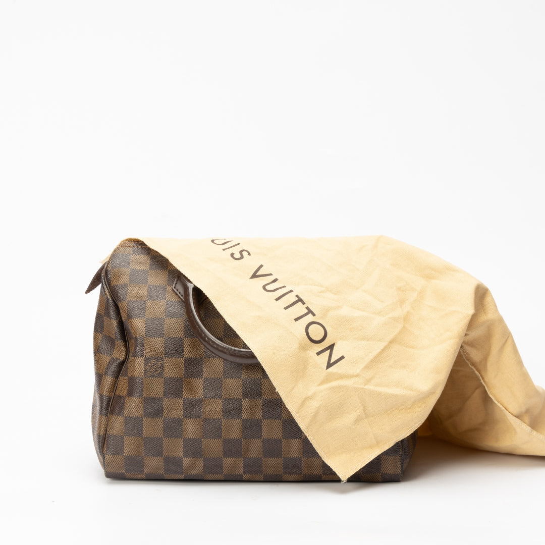 Louis Vuitton Damier Ebene Canvas 25 Bag