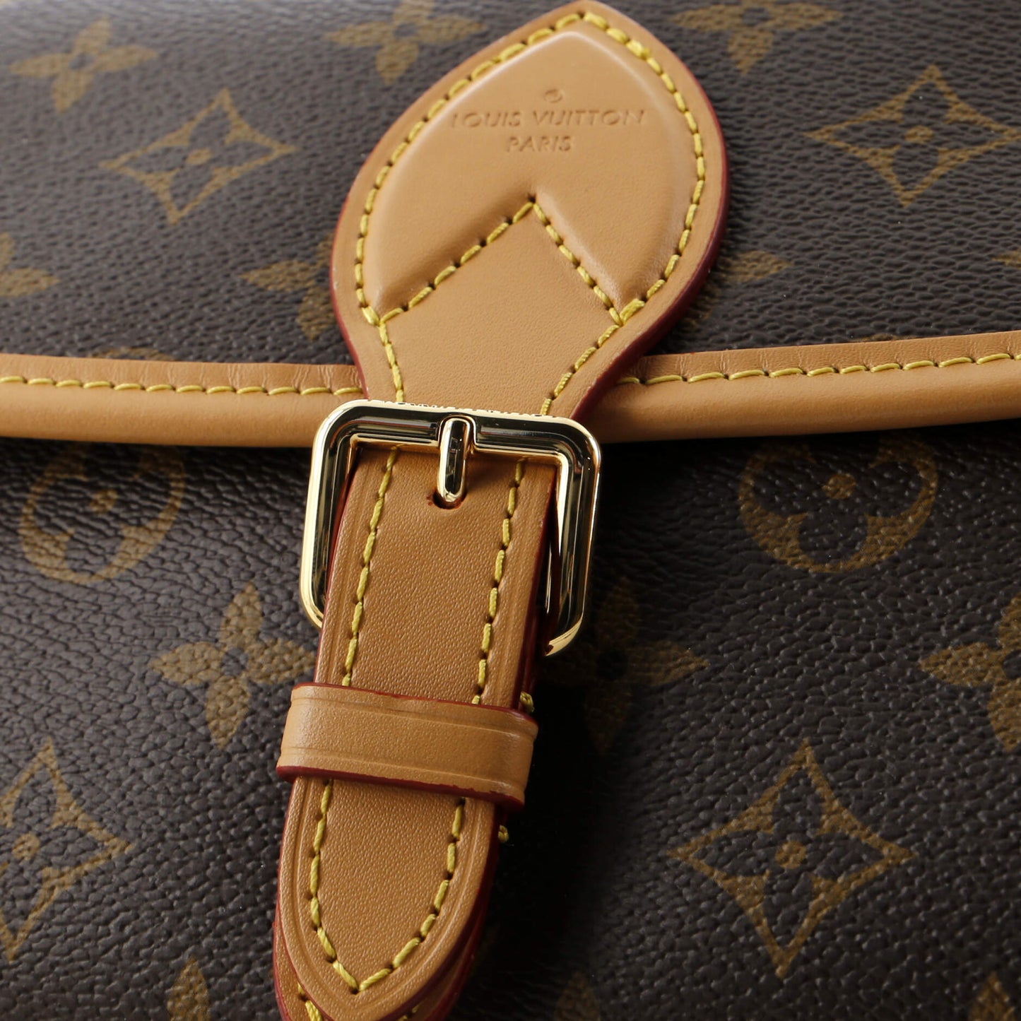 Louis Vuitton Diane NM Handbag Monogram Canvas