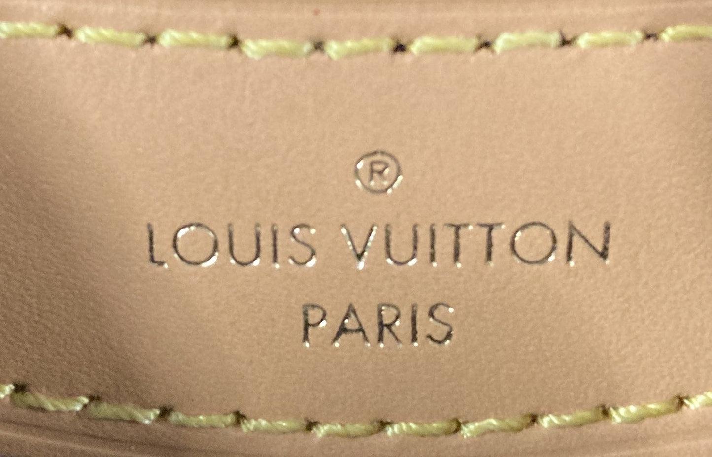 Louis Vuitton Diane NM Handbag Monogram Canvas