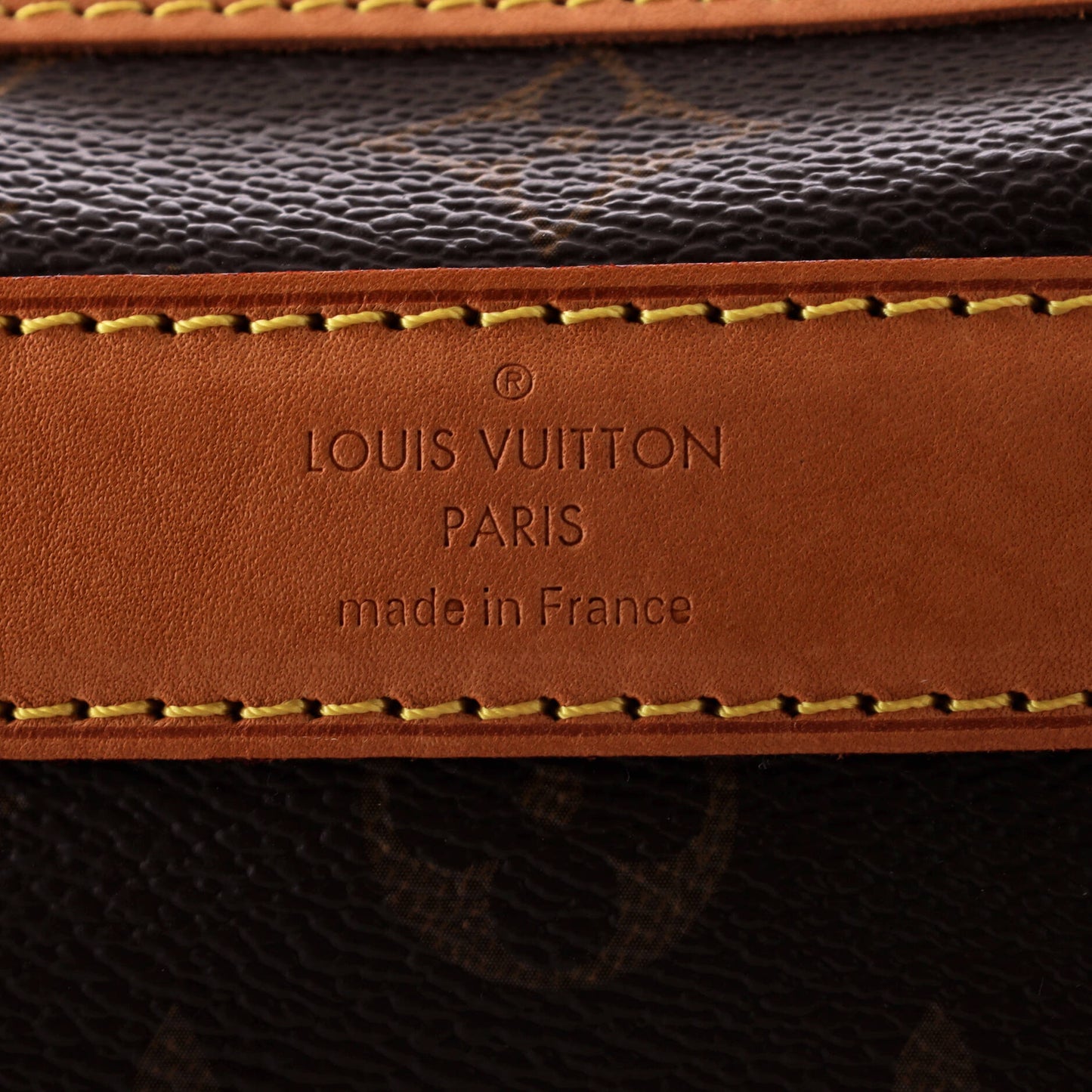 Louis Vuitton Dog Carrier Bag Monogram Canvas 50