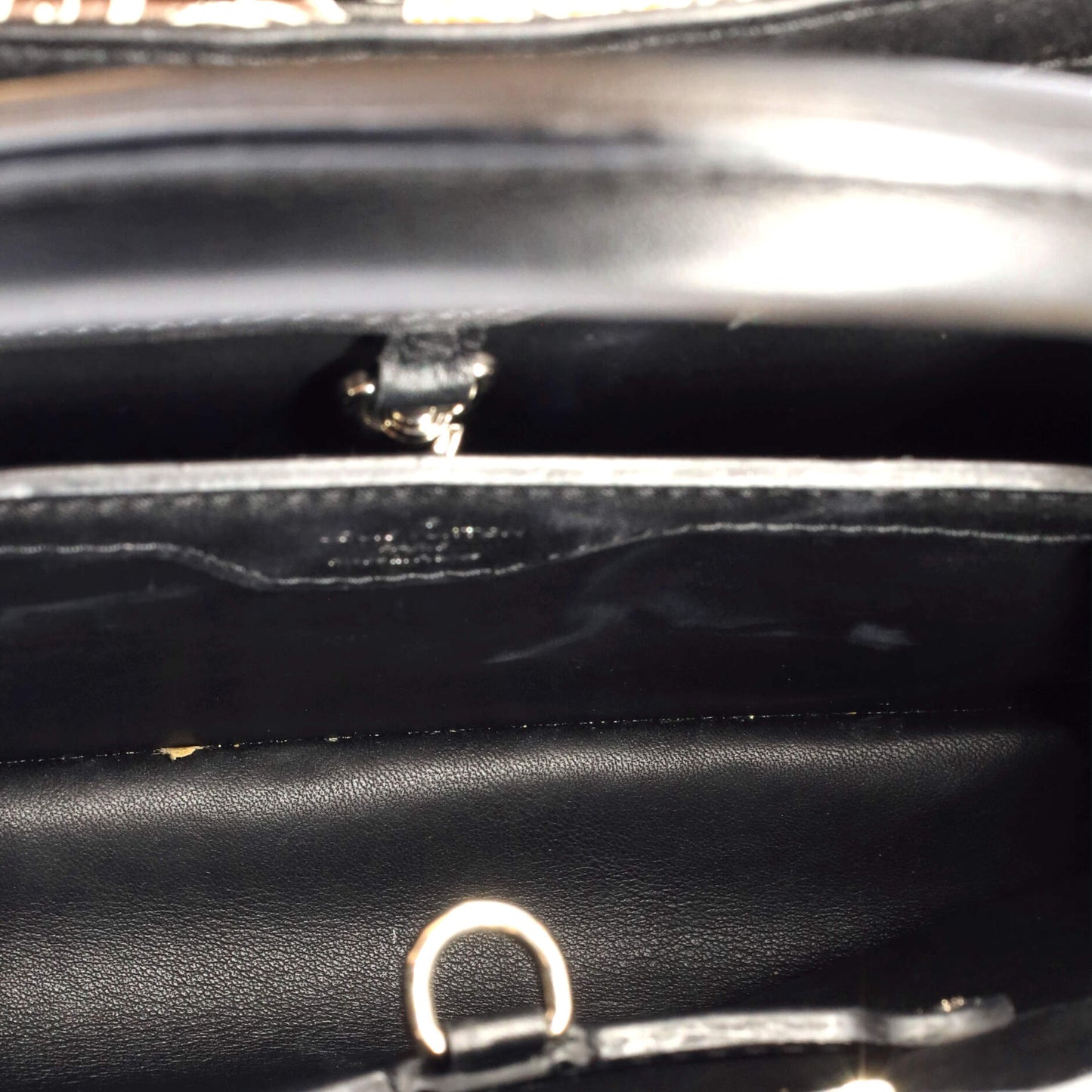 Louis Vuitton Capucines Bag Printed Embossed Leather BB