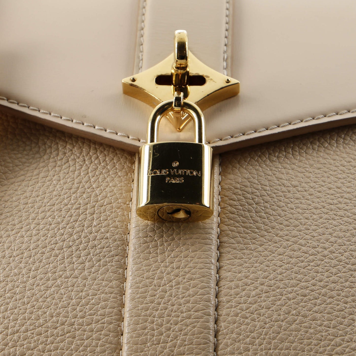 Louis Vuitton Rose des Vents Bag Leather PM
