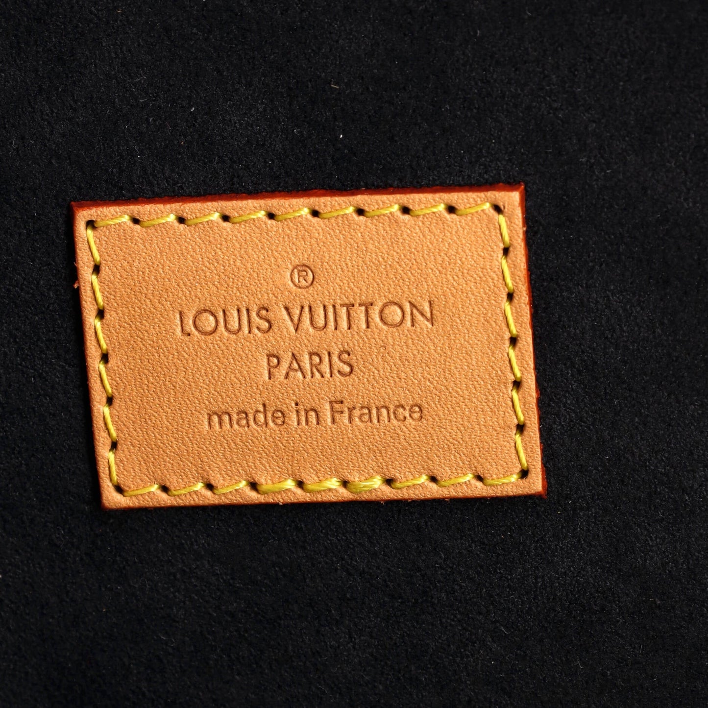 Louis Vuitton Cannes Handbag Reverse Monogram Giant