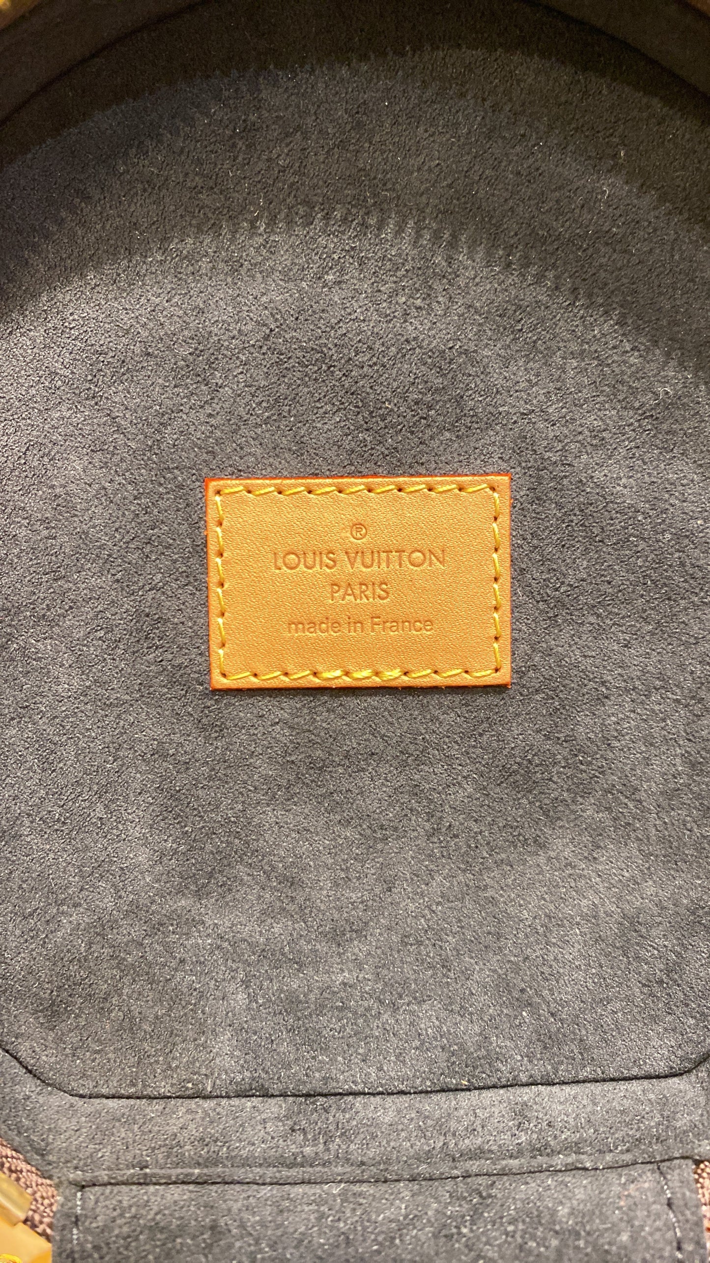 Louis Vuitton Cannes Handbag Reverse Monogram Giant