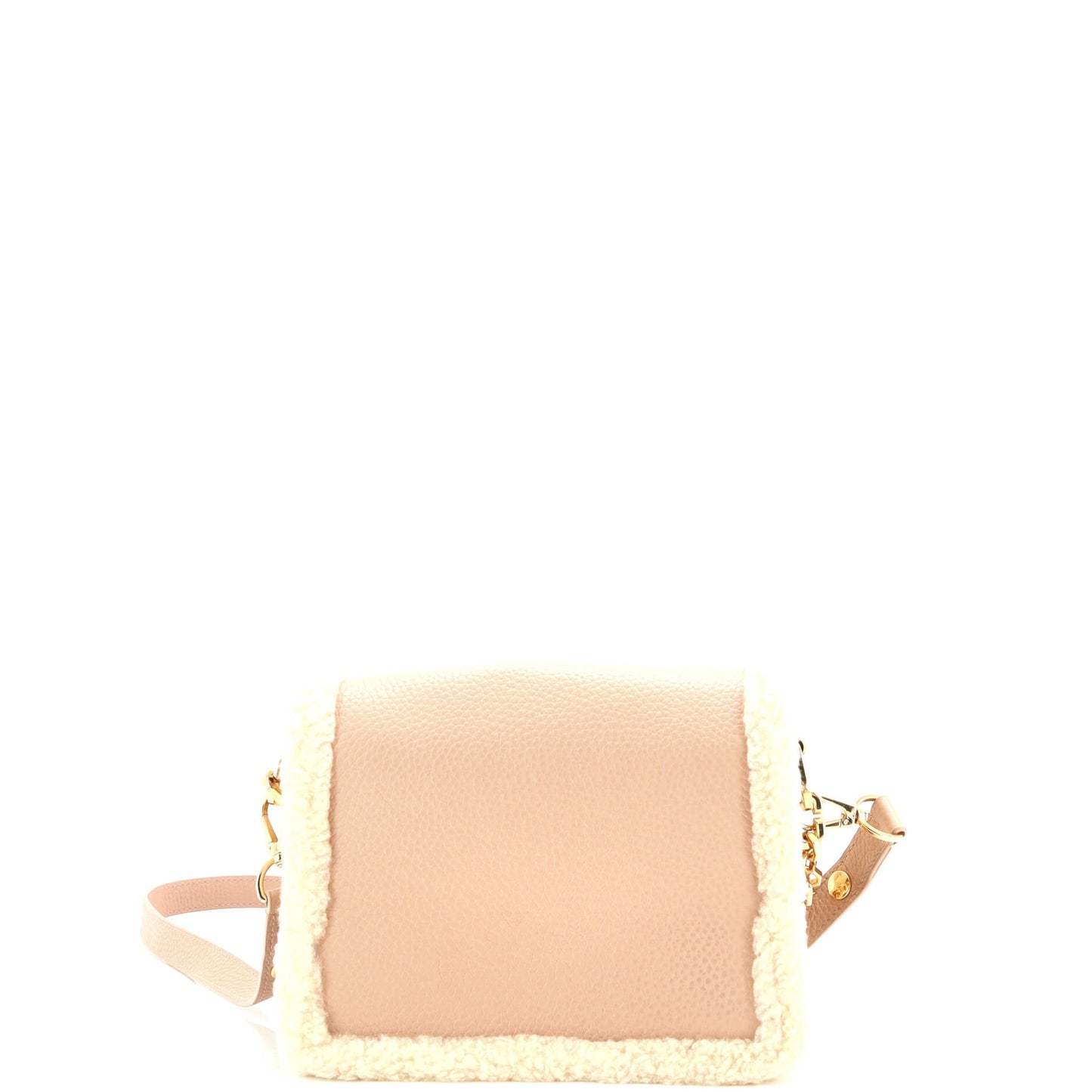 Louis Vuitton Dauphine Shoulder Bag Leather with Shearling Mini
