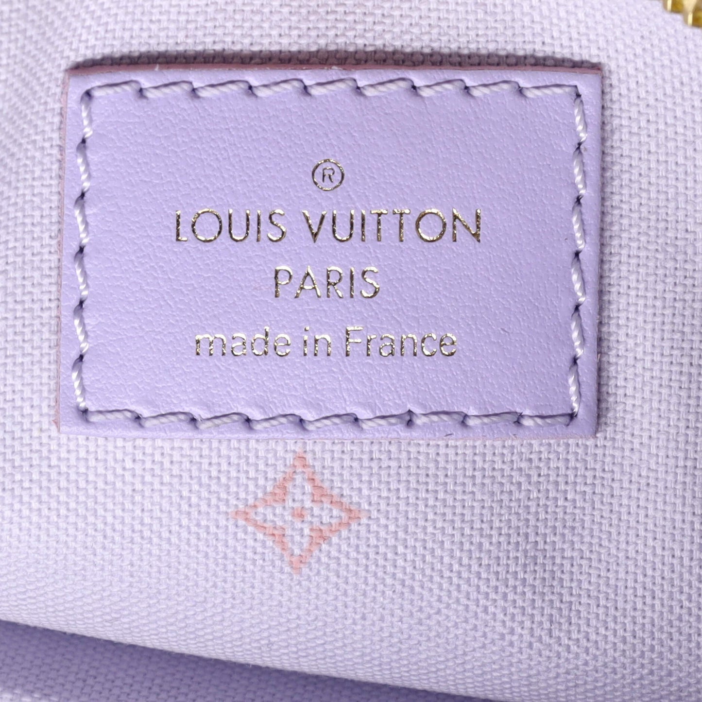 Louis Vuitton Marshmallow Bag Spring in the City Monogram Giant Canvas