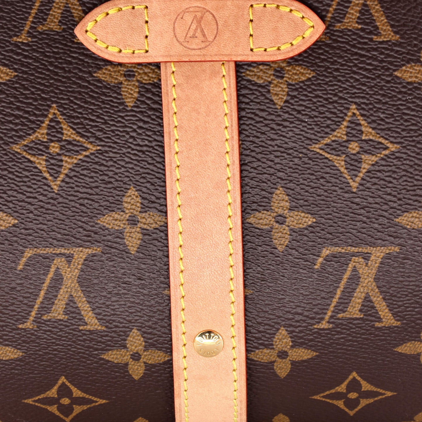 Louis Vuitton Saumur Handbag Monogram Canvas BB