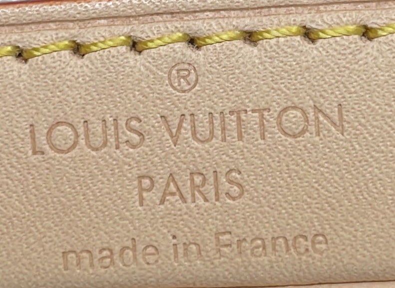 Louis Vuitton Chain Noe NM Handbag Multicolor Monogram Jacquard Nano