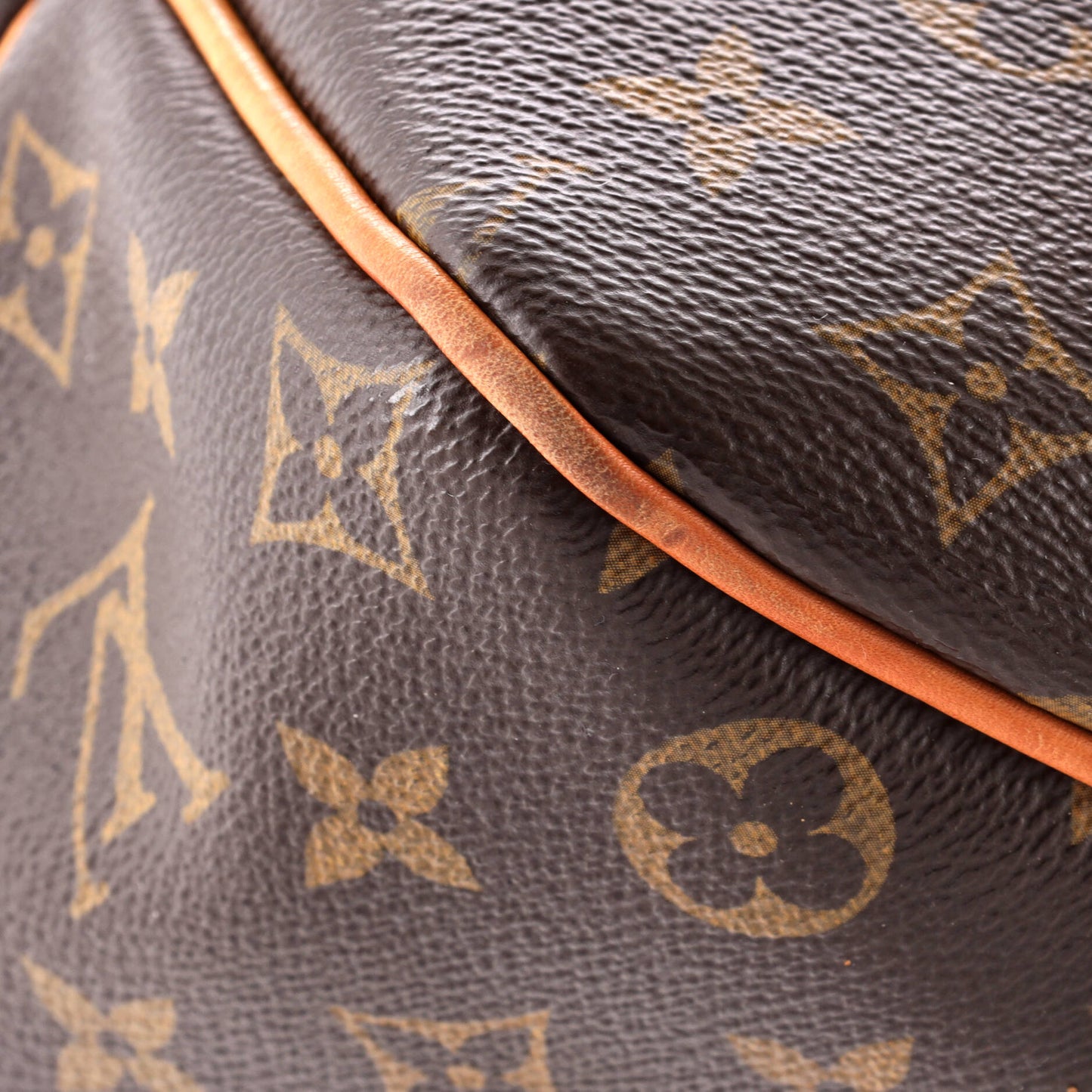Louis Vuitton Delightful NM Handbag Monogram Canvas PM