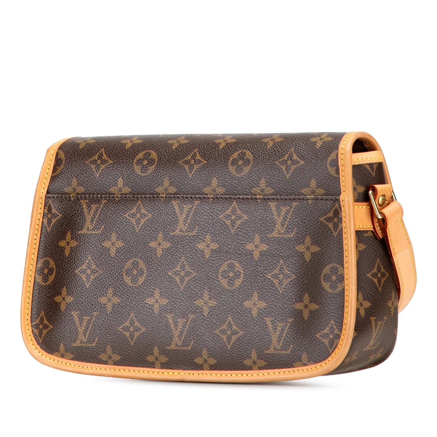 Brown Louis Vuitton Monogram Sologne Crossbody Bag