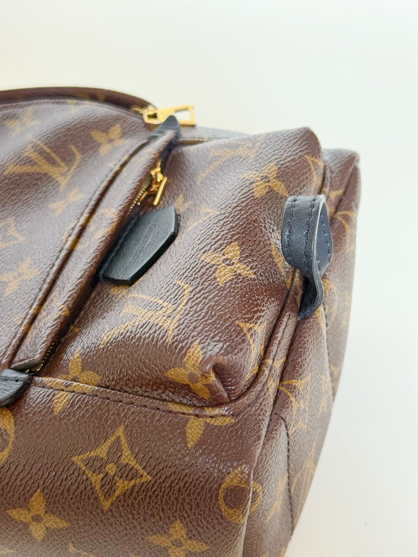 Louis Vuitton Monogram Palm Springs Backpack Mini