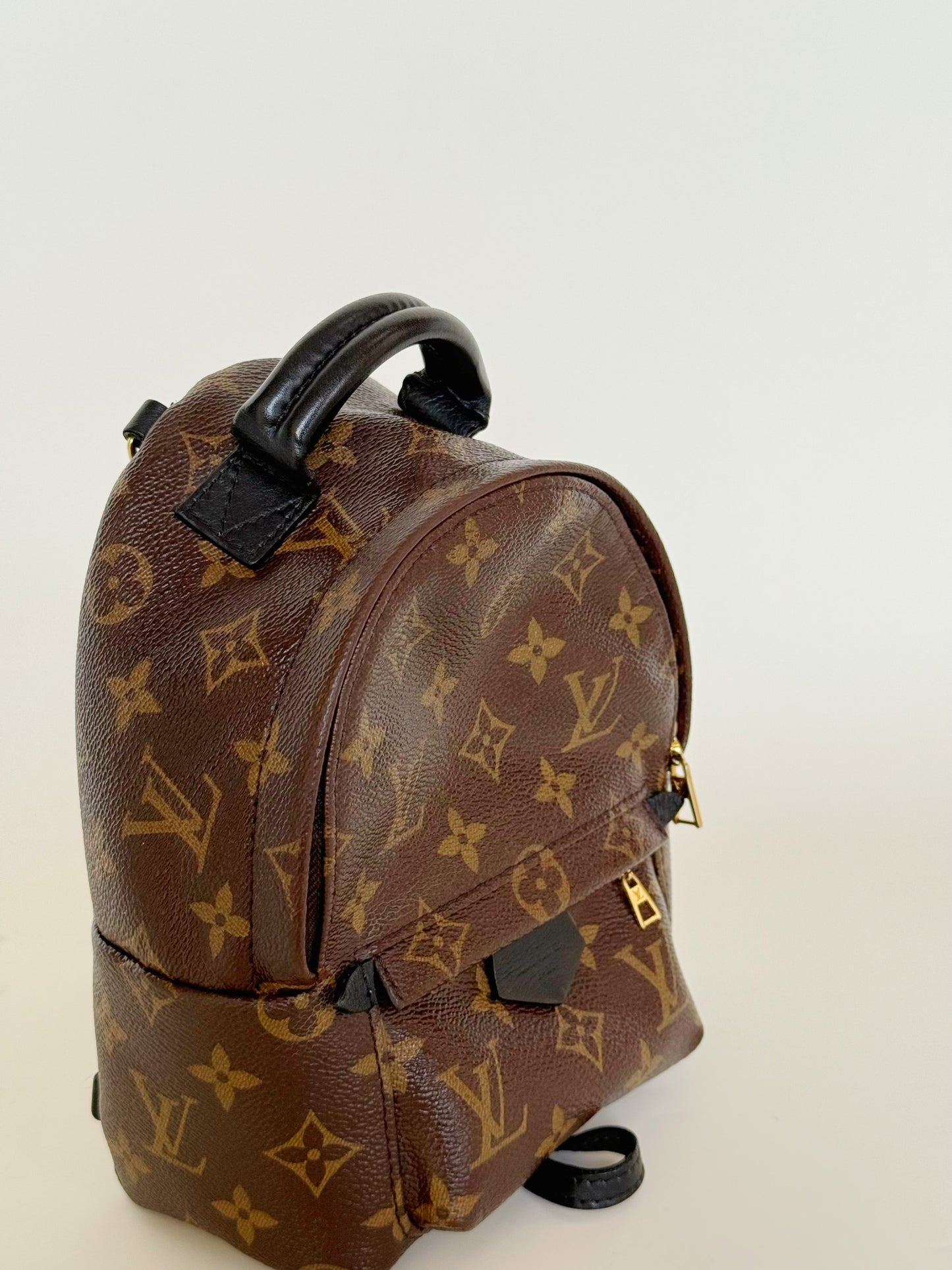 Louis Vuitton Monogram Palm Springs Backpack Mini