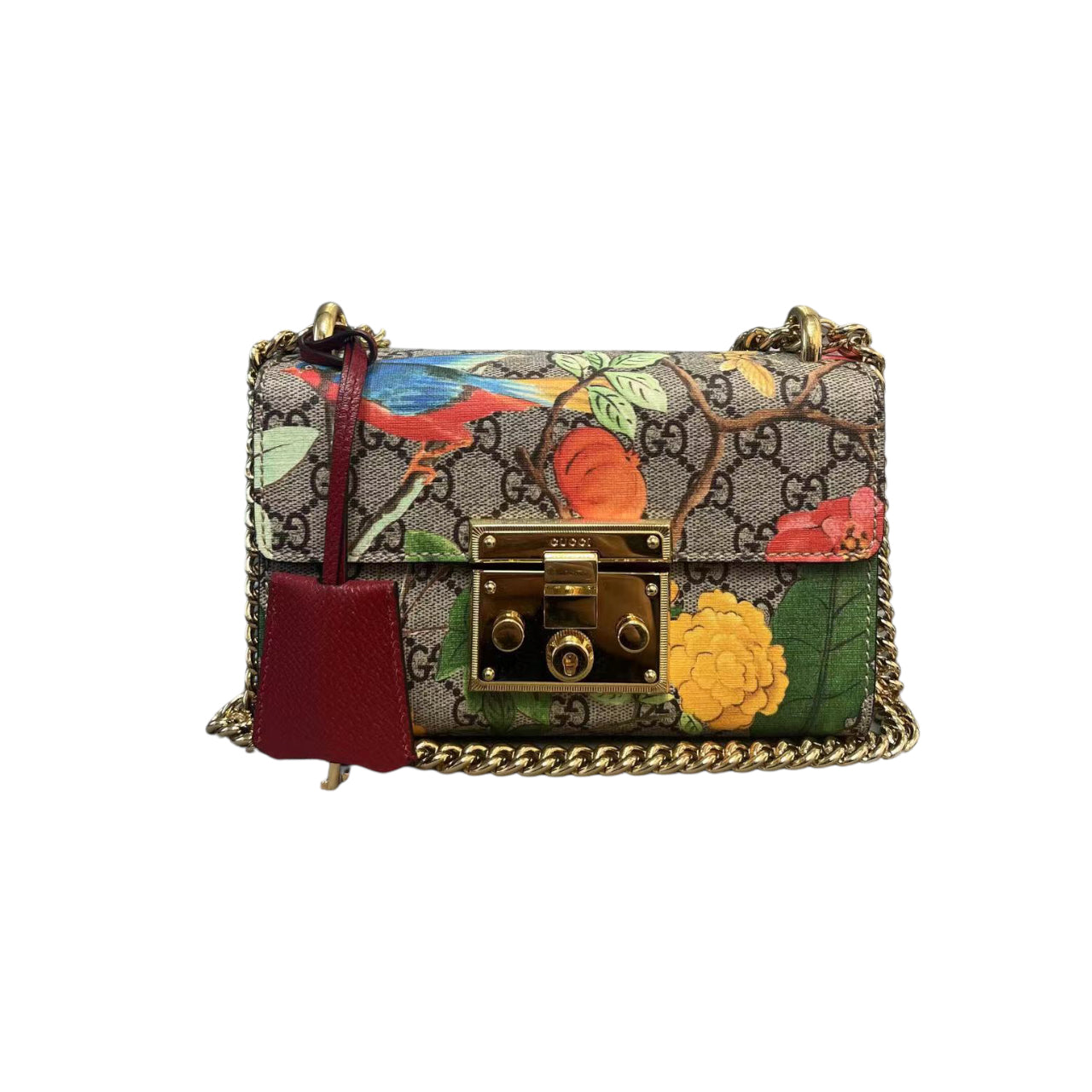 Gucci Monogram Chain Canvas Shoulder Bag
