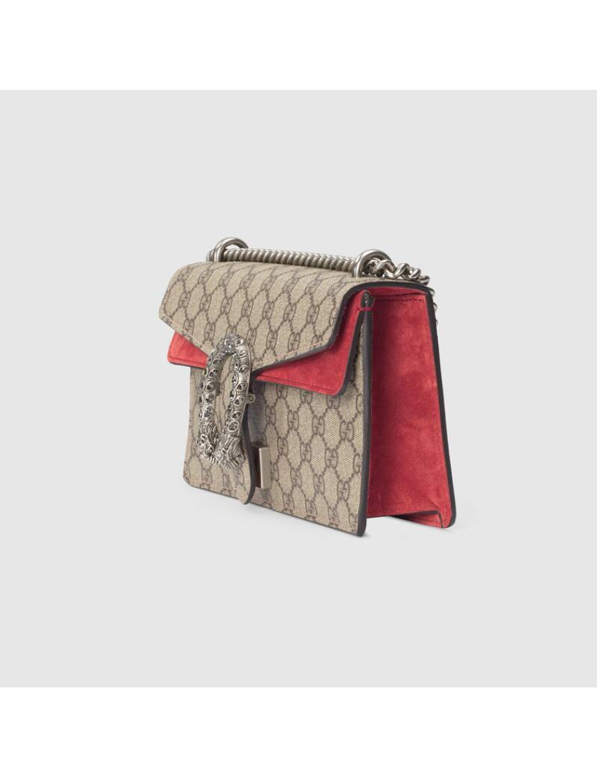 Gucci Crossbody Style 16