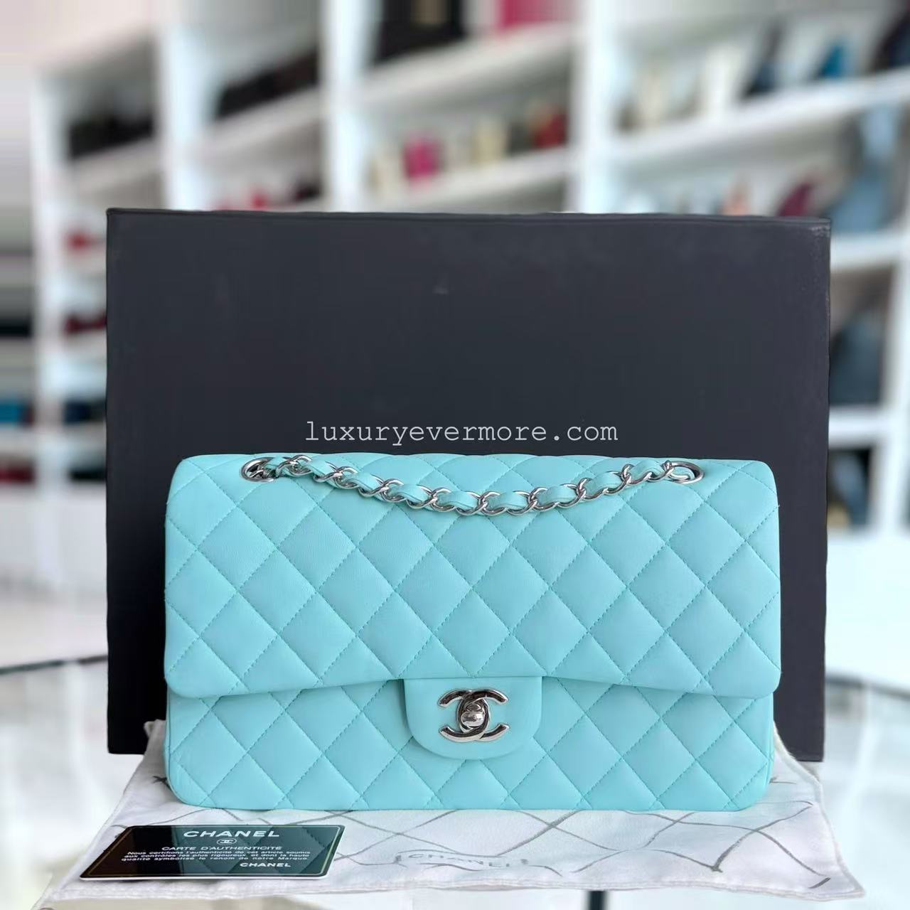Chanel Classic Flap Medium Shoulder Bag - EworeBags