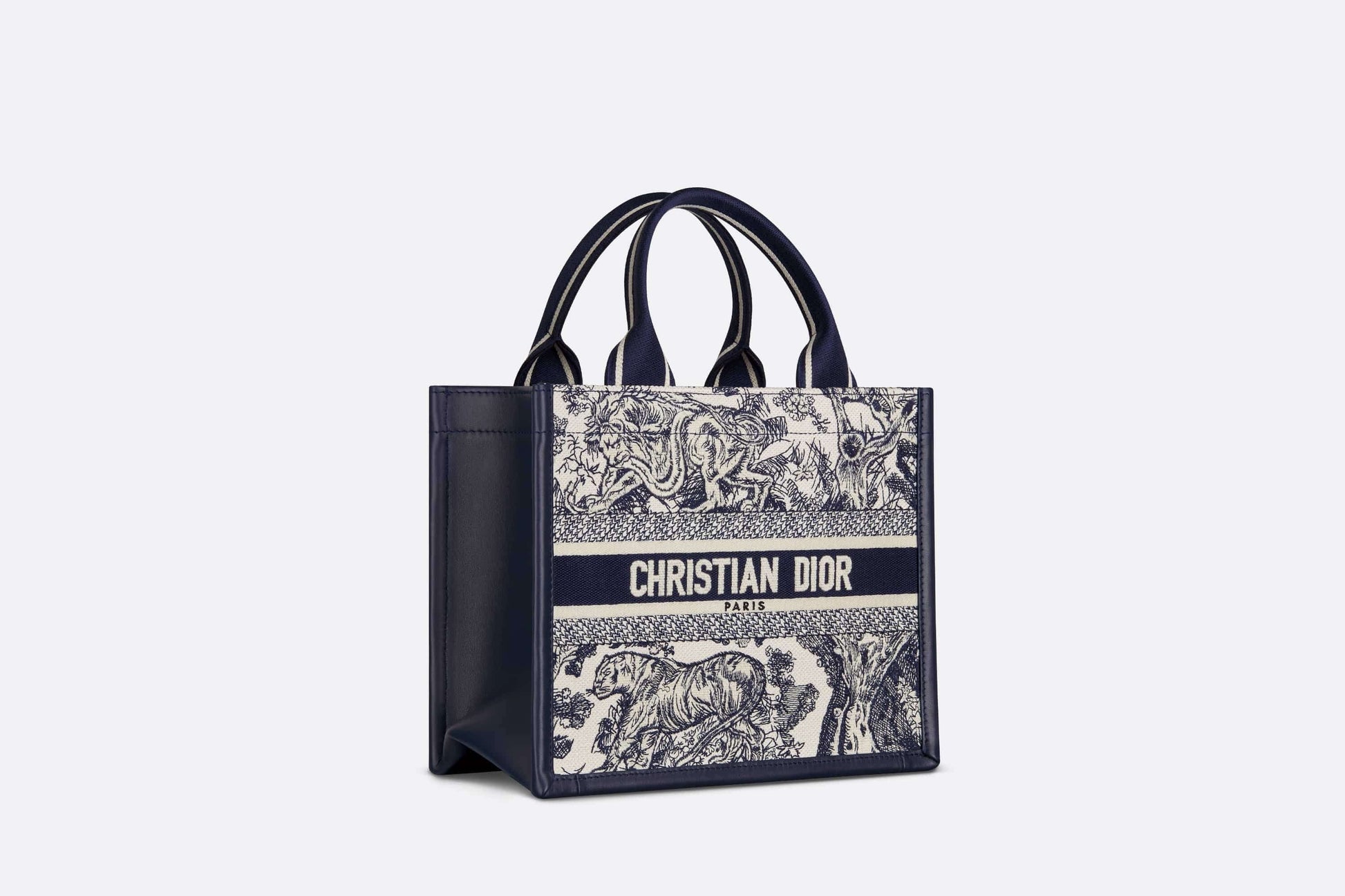 Dior Book Tote Leather Mini Tote