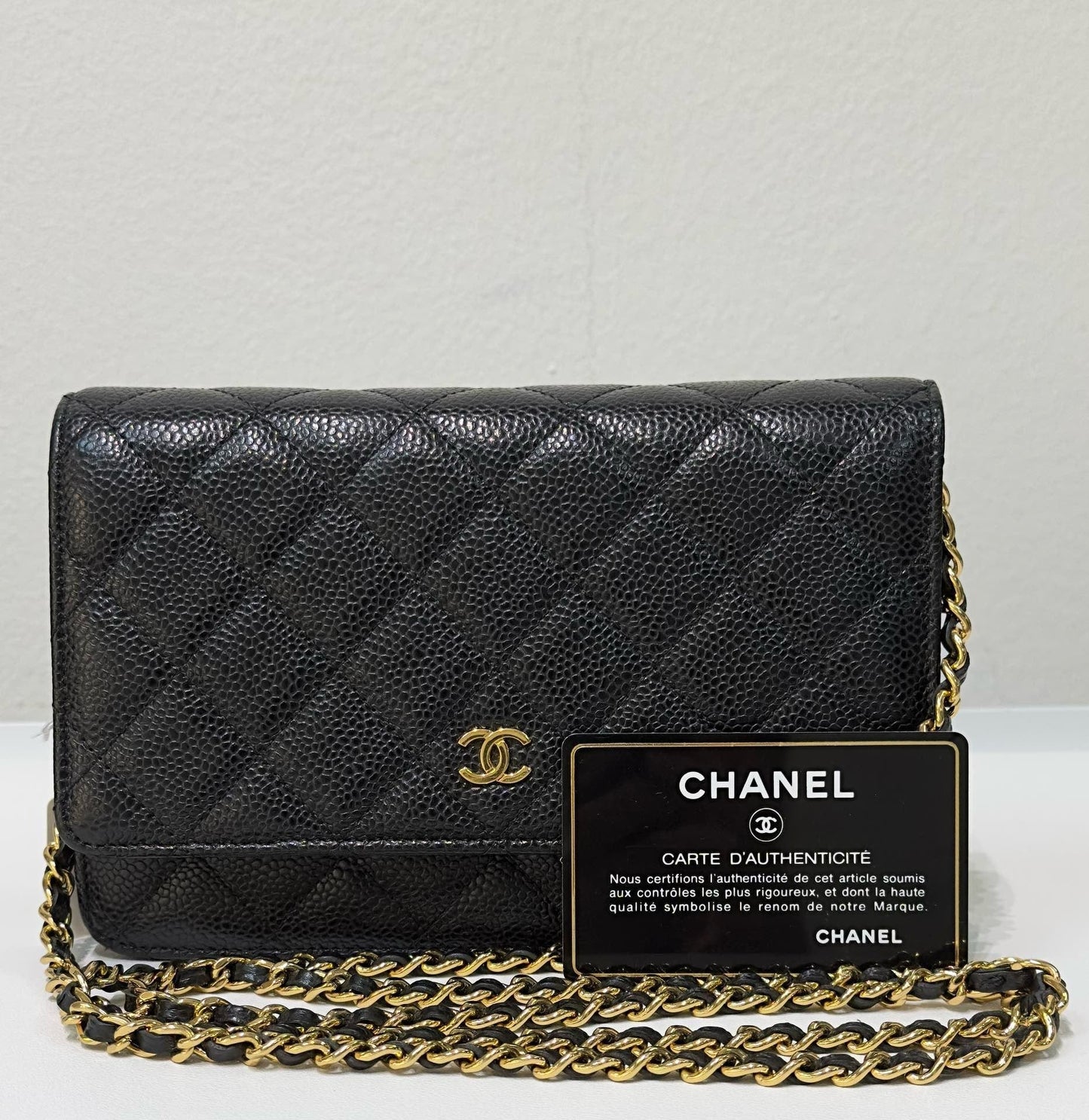 Chanel Wallet On Chain Crossbody Bag - Ewore Bags