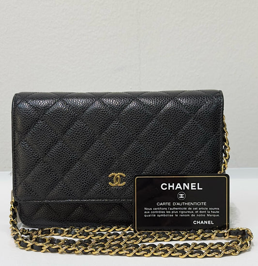 Chanel Wallet On Chain Crossbody Bag - Ewore Bags