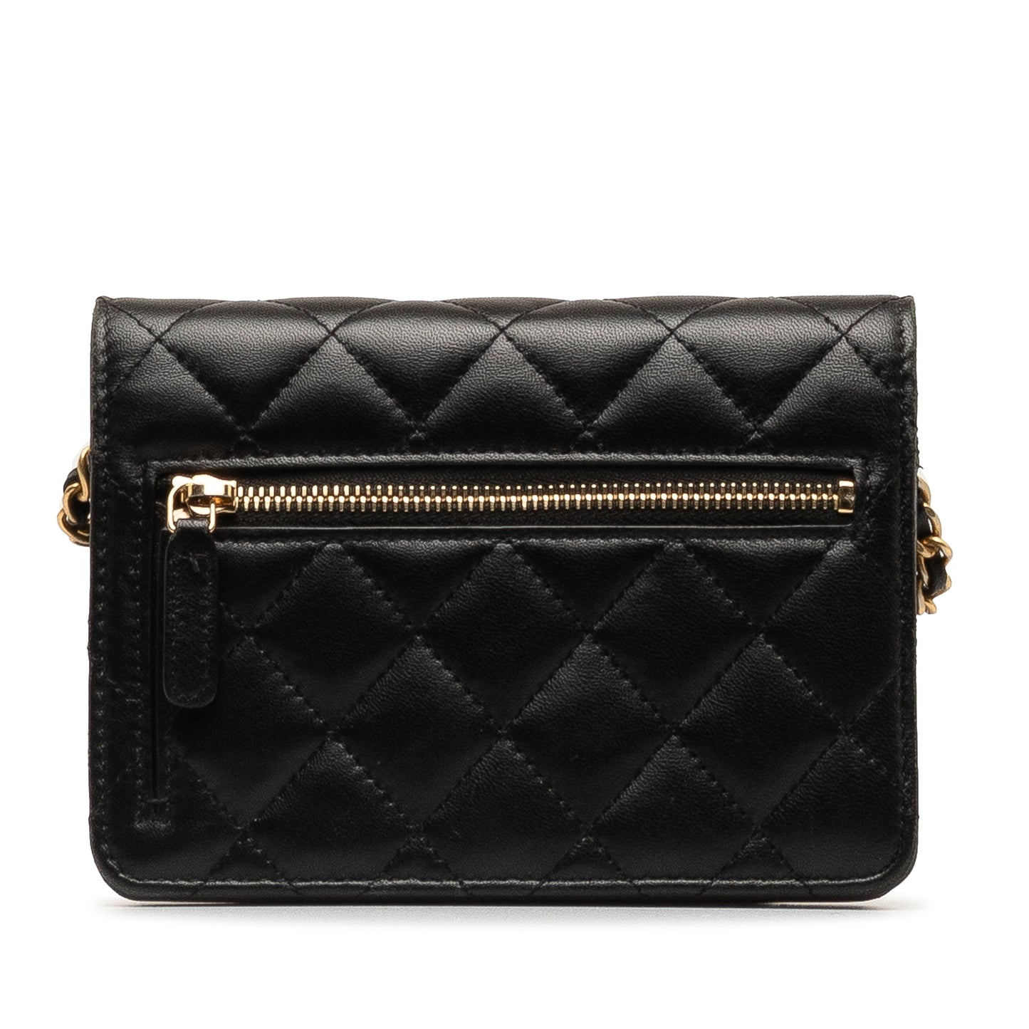 Chanel Wallet On Chain Crossbody Bag - Ewore Bags