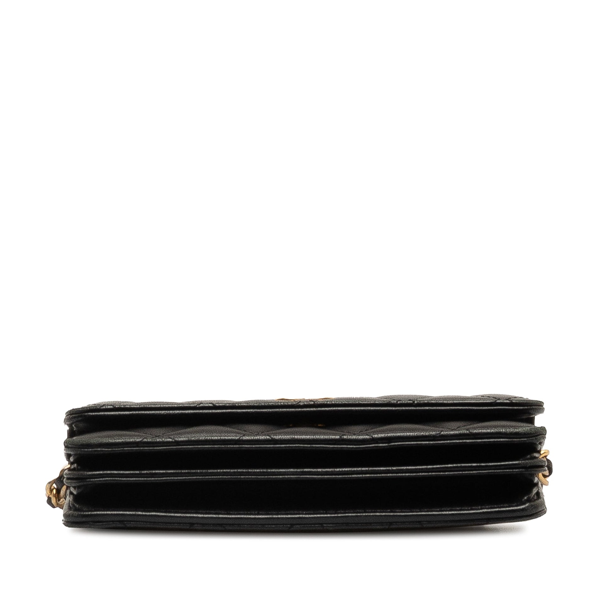 Chanel Wallet On Chain Crossbody Bag - Ewore Bags
