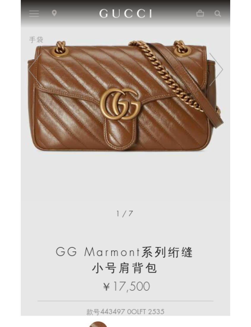 Gucci Quilted Crossbody Style 5