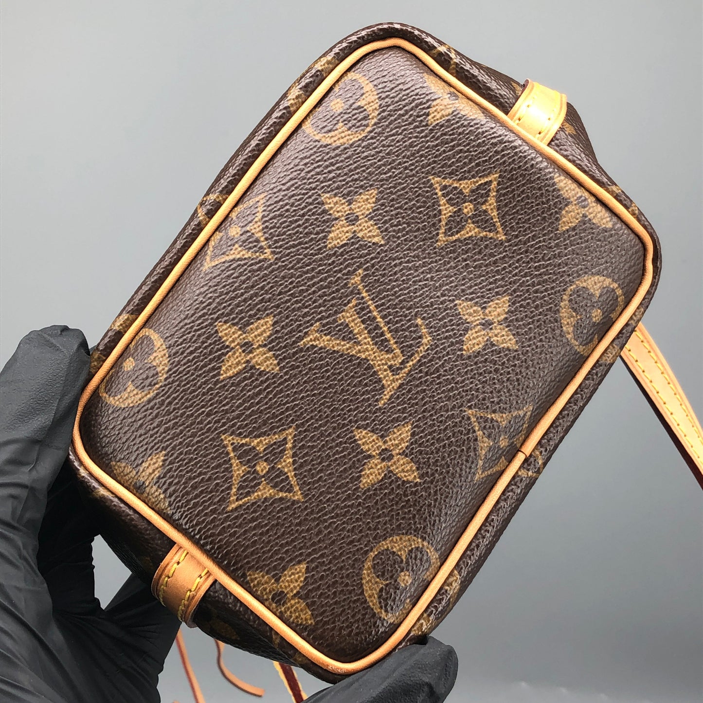 Louis Vuitton Classic Monogram Nano Noé Bucket Drawstring Crossbody Bag