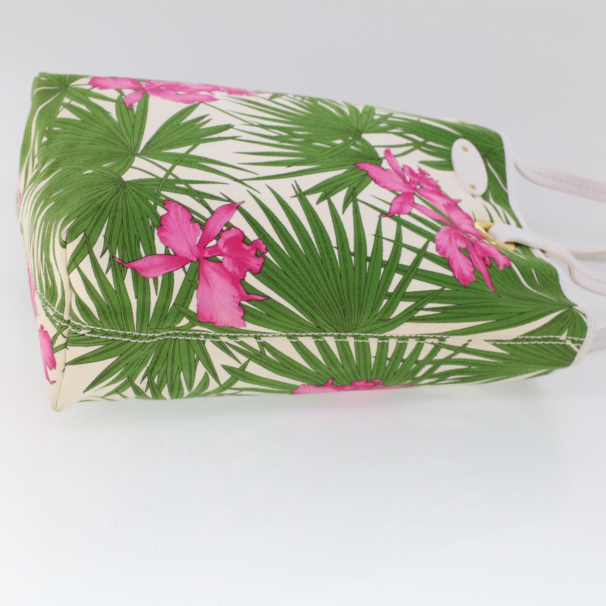 Luxury CELINE Botanical Pattern Tote Bag Canvas Green Pink  53737